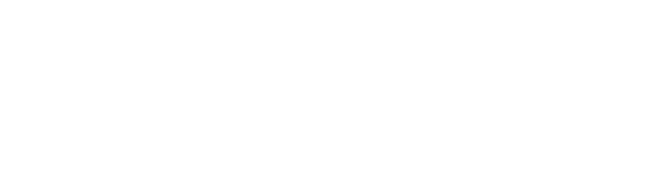 Remote Play